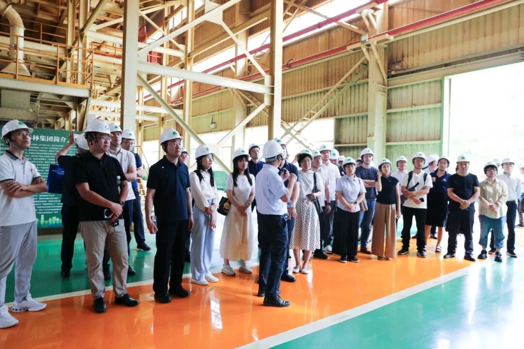 智赋制造・数启新程|东盟及国内AI行业代表团走进丰林集团实地参观考察